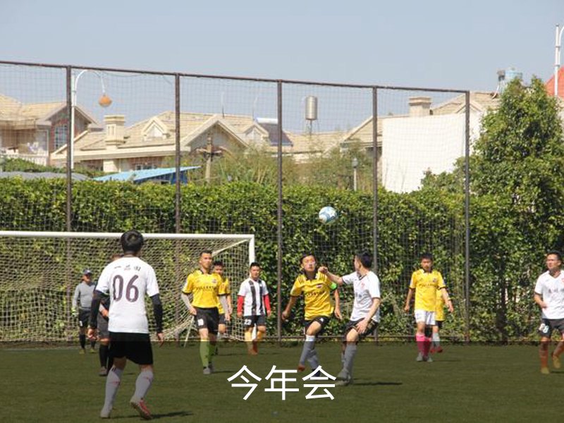 今年会简介